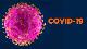 Рекомендации Всемирной организации по охране здоровья животных (МЭБ) касательно коронавирусной инфекции COVID-19 для владельцев домашних животных