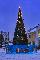 В городе Наволоки установили главную новогоднюю ёлку